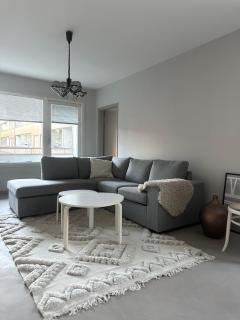 Atmospheric city home - Turku - 1