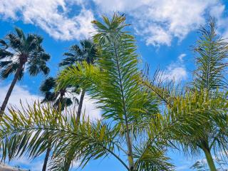 Villa Nautica Puerto Rico by Alquiler de Súeño - Porto Rico - 3