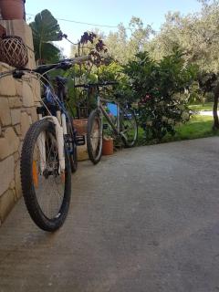 Elia Guesthouse - Kissamos - 9