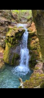 DuVa mongolska yurta - Bistrica - 9
