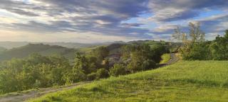 Bed and Breakfast Quercia di Croara - 5