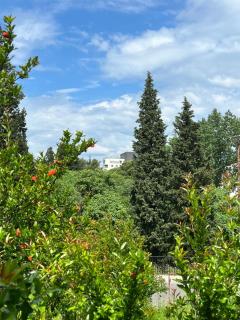 Central Park Apartment - Podgorica - 1