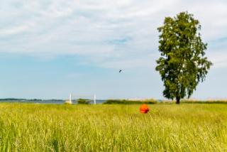 Floating Apartments at Rechlin Harbor by Kuhnle-Tours - Rechlin - 1