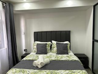 Arcadian Masters, 1 Bedroom HEARTLAND, Kilimani - 7