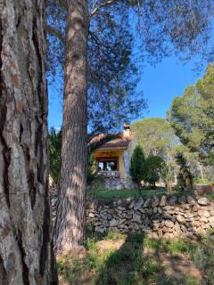 La Kolina Casa Rural - Xerta (Cherta) - 7