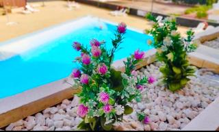 Los Seres - Relaxing Apartment With Pool - Los Cristianos - 8