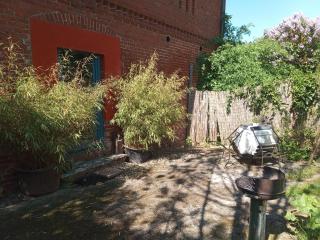 Schwalbennest am Lehmberg - Velgast - 5