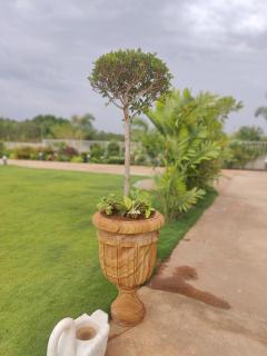 Riniya - Venkatāpur - 2