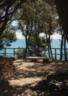 Casacon Music Hotel Sirolo - Sirolo - 3