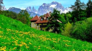 Waldegg Apartments - Auna di Sotto - 0