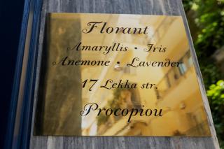 Florant Amaryllis - Atene - 3