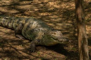 Suduweli Beauties of Nature - Yala - Kirinda - 2