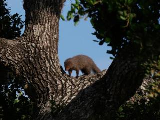 Suduweli Beauties of Nature - Yala - Kirinda - 6