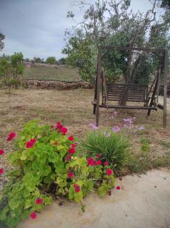 Trullo Contrada Specchi - Racale - 7