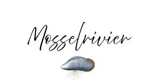 BEACH HOUSE MOSSELRIVIER - Langebaan - 9