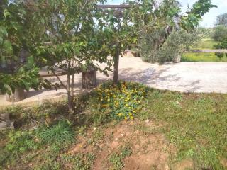 Trullo Contrada Stracca - Alliste - 9