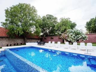 Spacious holiday home with private infinity pool, superb garden, terrace, BBQ, - Kakma - 9
