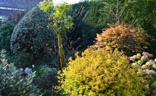 L'Orée des prés - Gîte de Charme - 3 étoiles - 5