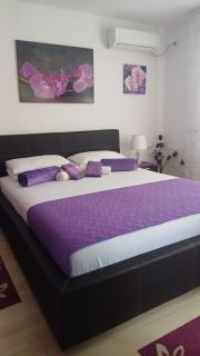 Apartmani Cirkov - Veliko Gradište - 3