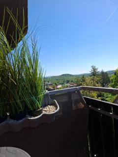 Ferienwohnung Gipfelglück mit Fernblick und Strandkorb - Bad Sachsa - 7