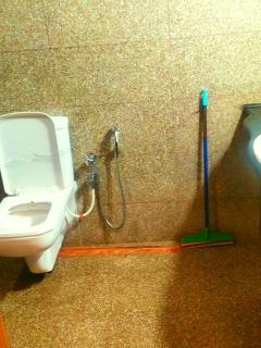 The Alpine Hotel - 2