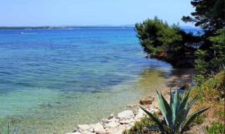 Apartments in Tkon - Insel Pasman 53913 - Tkon (Tuconio) - 5
