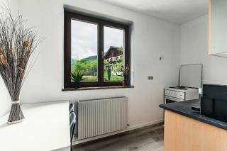Zentral am Fluss #2 - Bad Ischl - 2