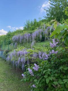 Cascina Bruna, un paradiso in Val Trebbia - Bobbio - 5