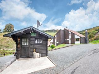Cosy holiday home in the Hochsauerland with terrace at the edge of the forest - Schmallenberg - 4