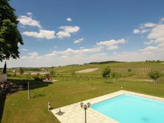 Luxury apartment with terrace, sauna, tennis, pool - Saint-Preuil - 4