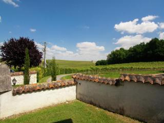 Luxury apartment with terrace, sauna, tennis, pool - Saint-Preuil - 8