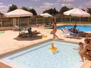 Luxury Villa in France with Private Pool - Les Forges - 4