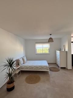 Typical fisherman house - Setúbal - 9