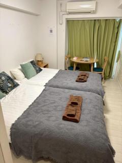 リブシティ錦糸町参番館上層階眺望良好北欧ルーム, Akihabara 6mins, Tokyo 8 mins, Direct to Narita Airport 成田空港直達 - Tokio - 0