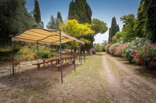 Villa I Tigli - Campiglia Marittima - 8