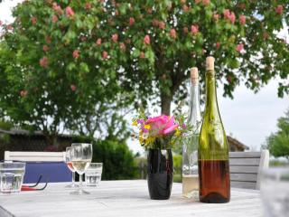 Charming Holiday Home in Montrichard with Pool - Bourré - 3