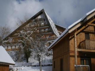 Apartment with shuttle bus to the ski lift - Gresse-en-Vercors - 9