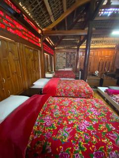 Kale Farm Bắc Hà - 6