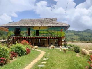 Kale Farm Bắc Hà - Lào Cai - 0