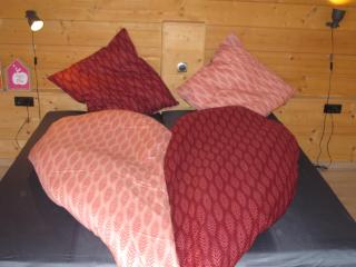 Chalet Finkennest - Neukirchen am Grossvenediger - 6