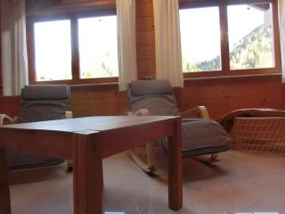 Chalet Finkennest - Neukirchen am Grossvenediger - 9