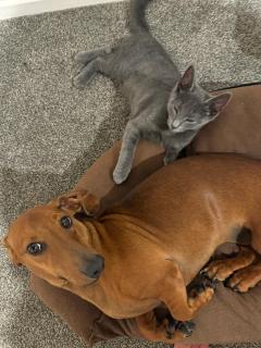 Abbey Caves Countryscape - 9