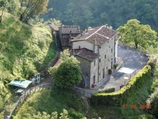 Fattoria di Pietrabuona - Medicina - 5