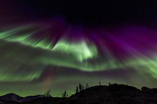 Tromsø Nature Escape - Tromsø - 4