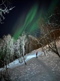 Tromsø Nature Escape - Tromsø - 3