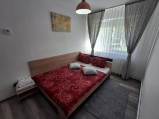 Apartament Claudia - Deva - 6