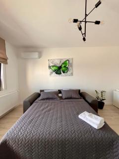 The Butterfly Suite, Near Arenele Romane & Constitution Square - 9