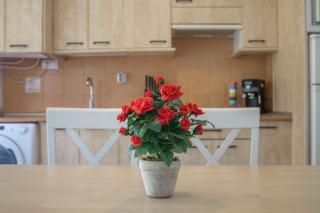 Apartamento En Los Caños De Meca - Los Caños de Meca - 4