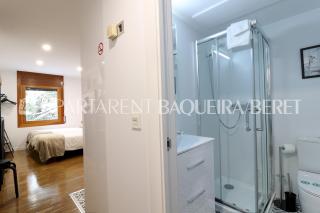 Apartarent 1500 - Estudio Àneu - 1