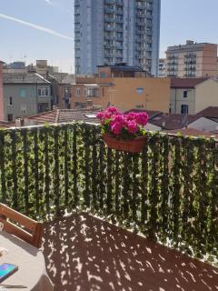 Casa Molly - Follonica - 6
